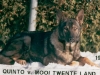 Quinto v. Mooi Twente Land